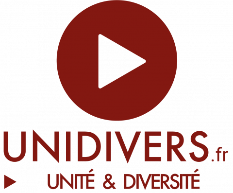 logo unidivers