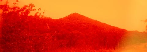 Il s'agit d'une photo de l'exposition Les Yeux de Magot imaginée par Alice Pallot. On y voit de la verdure avec une petite montagne à l'arrière et un arbre en avant-plan sur la gauche. Les couleurs de la photo sont rouges et orangées