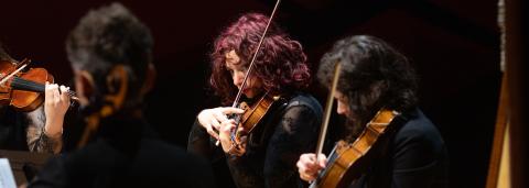 Violonistes en concert