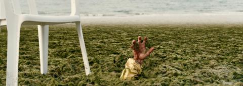 Main de zombie sortant des algues