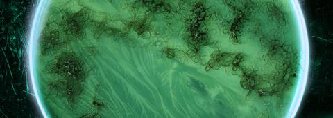 Culture d'algues microscope