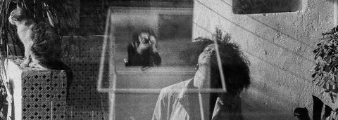 Superposition de deux photo, on y voit au premier plan une femme les cheveux crépus, les yeux fermés, levé un peu la tête, derrière elle, une personne apparait en reflet la prenant en photo. Sur le côté droit, on apperçoit un bâtiment.