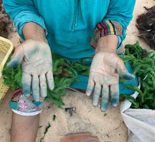 Sur la photo on voit une personne assise au sol, sur un terrain sableux, entourée de végétaux, les mains tachées, bleutées par la manipulation de ces végétaux. Elle porte une tenue colorée, bleue avec aux poignets des motifs mulicolores.