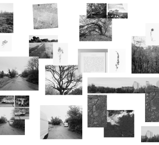 Ensemble de photos en noir et blanc de Caroline Cieslik "les sauvages"