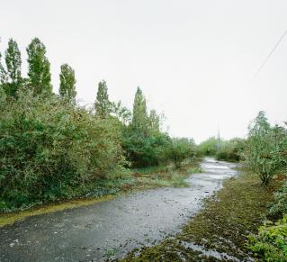 Photo des prairies Saint‑Martin avant son urbanisation
