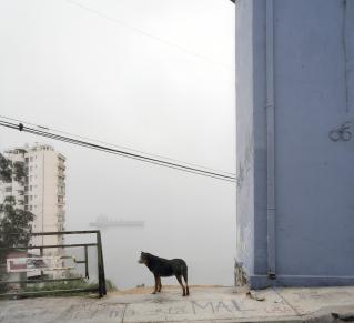 photographie marie bovo