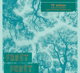 Visuel transrversales 2025, des arbres en contre plongée