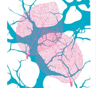 Visuel de l'agenda culturel 2025, une création graphique de Benoît Gaudin