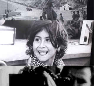 visuel sard plusieurs photos d'archives 