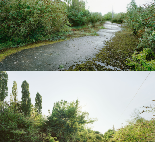 hoto des prairies Saint‑Martin avant son urbanisation