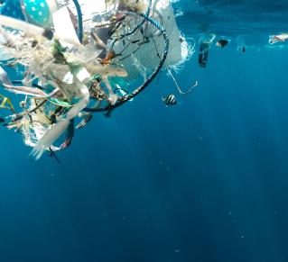 Un petit poisson nage dans une mer pleine de déchets