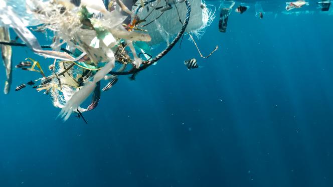 Un petit poisson nage dans une mer pleine de déchets