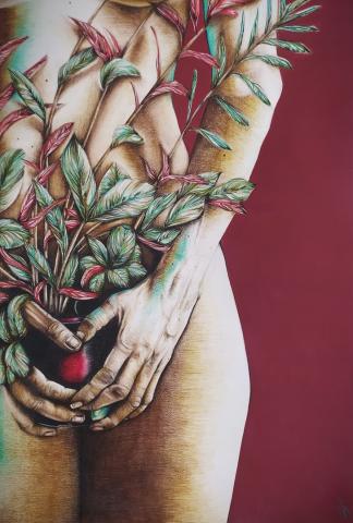 Dessin Marie Granger