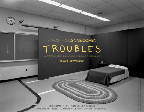 Lynne Cohen – Troubles