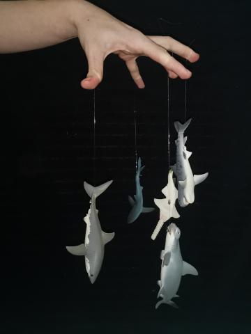 Des jouets requins sont accrochés aux doigts d'une main