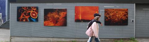 Vue d'une exposition plein air sur le campus de Marguerite Bornhauser