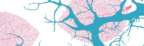 Visuel de l'agenda culturel 2025, une création graphique de Benoît Gaudin