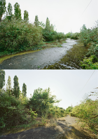 photo des prairies Saint‑Martin avant son urbanisation