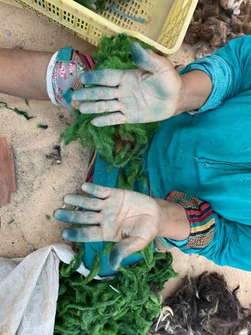 Une personne assise au sol, sur un terrain sableux, entourée de végétaux, les mains tachées, bleutées par la manipulation de ces végétaux. Elle porte une tenue colorée, bleue avec aux poignets des motifs mulicolores.