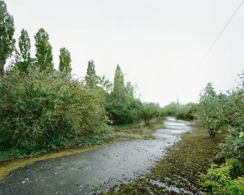 Photo des prairies Saint‑Martin avant son urbanisation