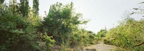 Photo prise par Caroline Cieslik sur les prairies Saint-Martin à Rennes