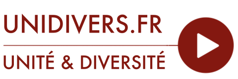 Logo Unidivers 