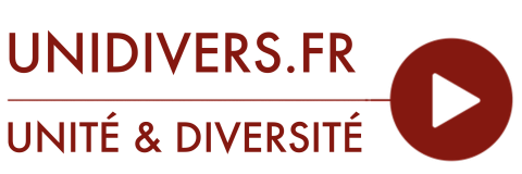 Logo Unidivers